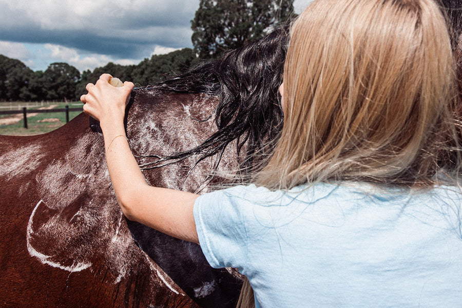 Horse Shampoo Bar