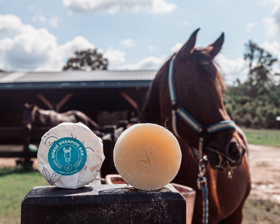 Horse Shampoo Bar