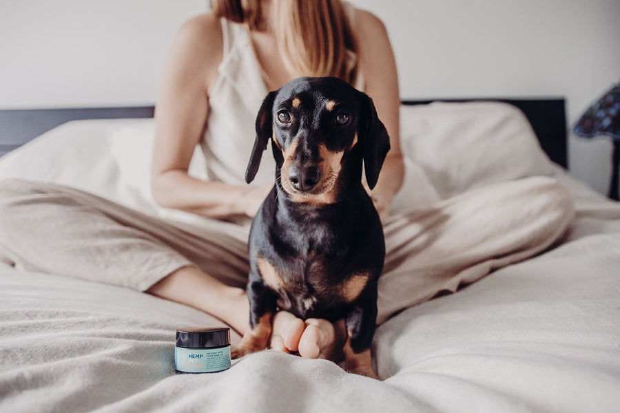 Pet Shampoo Bar